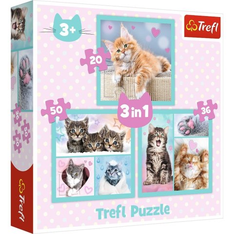 Puzzle 3w1 Słodkie zwierzaki kotki Trefl