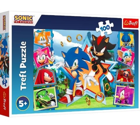 Puzzle 100 elementów Poznaj Sonica Sonic Trefl