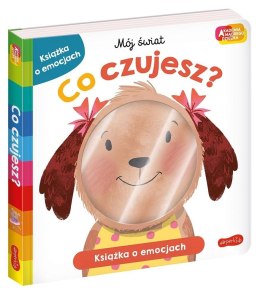 Książeczka Co czujesz? Akademia Mądrego Dziecka Harper Collins