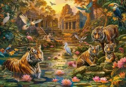 Puzzle 1000 elementów Tigers Paradise Castor