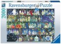 Puzzle 2D 2000 elementów Trucizny i mikstury Ravensburger Polska