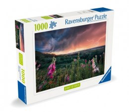 Puzzle 1000 elementów Nadchodzi burza Ravensburger Polska